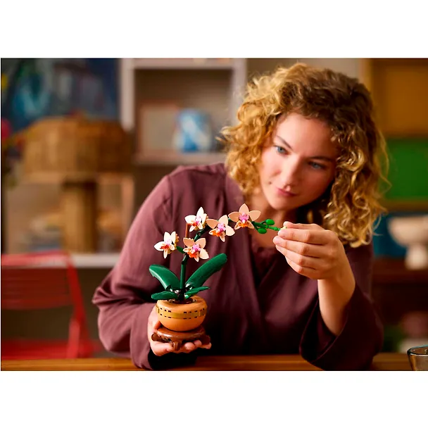 LEGO Botanical Collection: Мини-орхидея, 274 детали (10343) 3118441 — 6