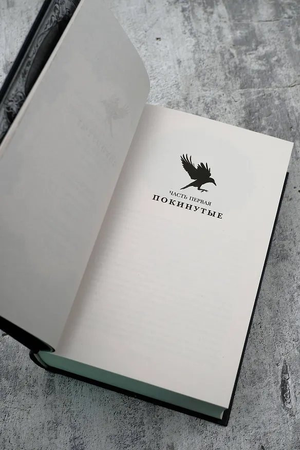 Книга Продажное королевство (Ли Бардуго) — 15