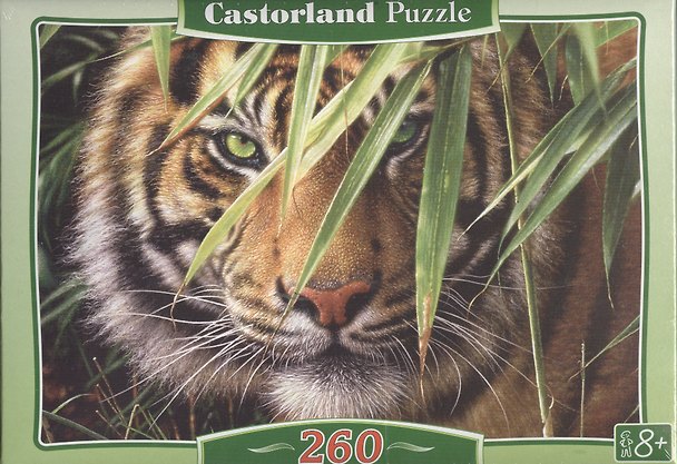 Пазл 260 MIDI B-27200 Тигр (32х23см) (коробка) (Castorland) 2382136 — 1