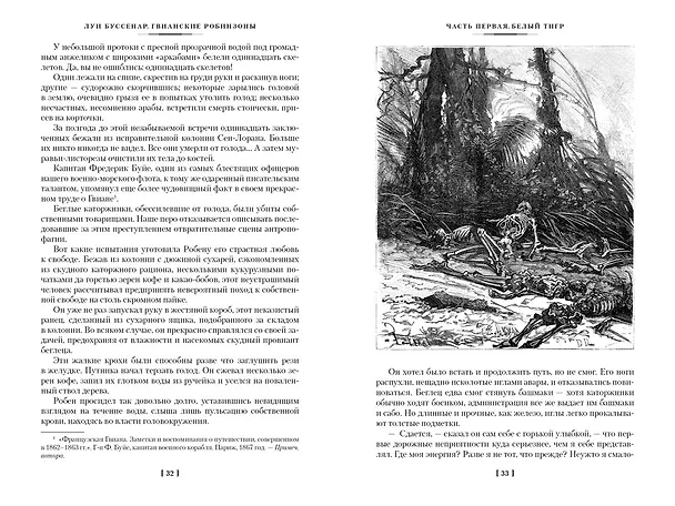 Книга Гвианские робинзоны (Луи Анри Буссенар) — 9