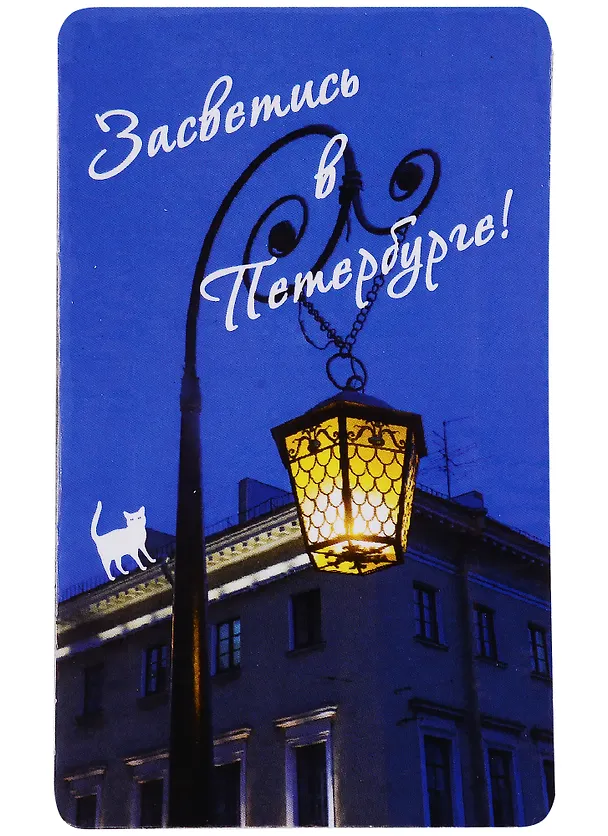 Магнит СПб Засветись в Петербурге (фото) (9х5,5) (винил) (МВ2019-002/010) 2778594 — 1