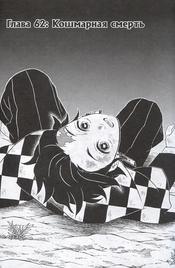 Истребитель демонов. Том 8 (Клинок, рассекающий демонов / Demon Slayer: Kimetsu no Yaiba). Манга 2977305 — 6