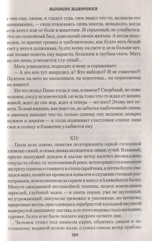 Книга Новомир (Петр Краснов) — 4