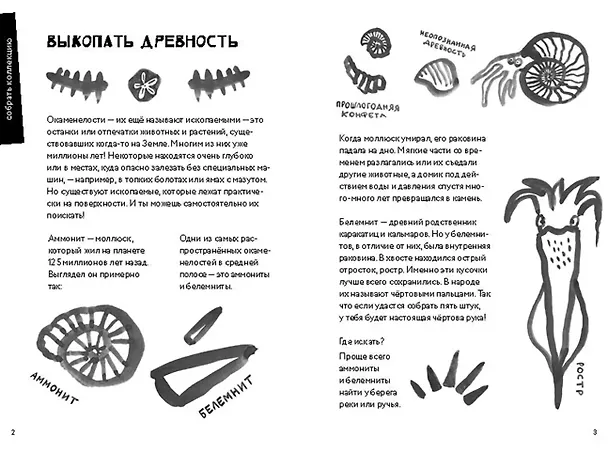 Книга 50 познавательных игр на природе (Лео Хек) — 2