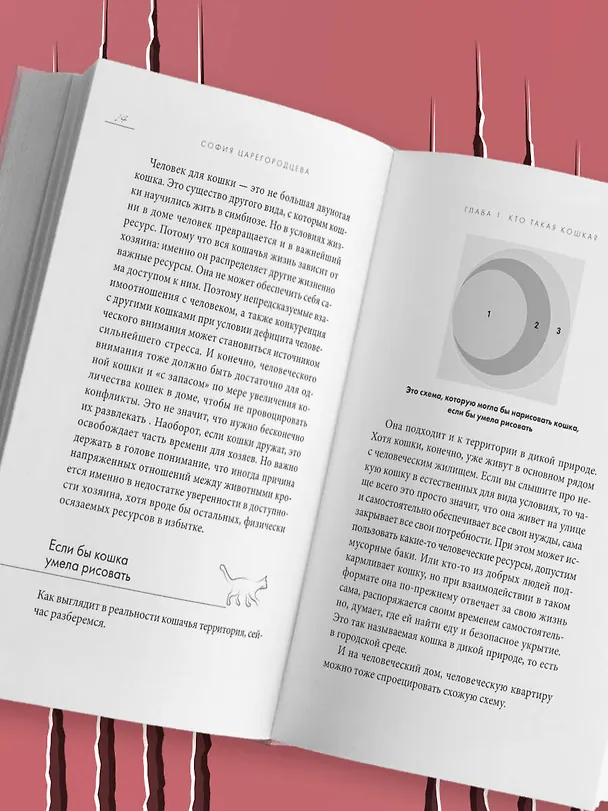 Книга Кошачий закон и порядок. Как найти общий язык с кошкой и не стать жертвой ее капризов (София Царегородцева) — 13