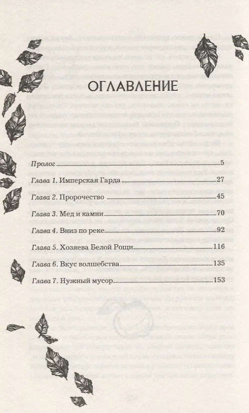Книга Анима. Серебряный Ястреб (Екатерина Соболь) — 2