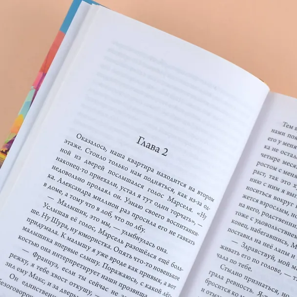 Книга Осенний марафон лабрадора Трисона (Михаил Самарский) — 8