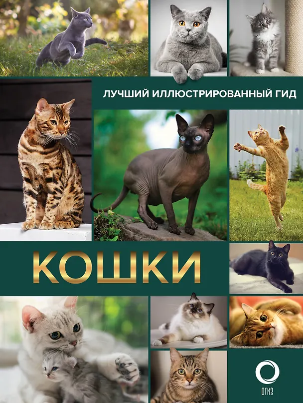 Книга Кошки. Лучший иллюстрированный гид () — 1