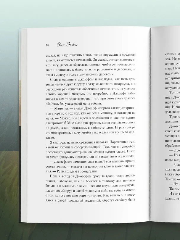 Книга Мэтти, Майло и я. История о любви, утрате и том, как собаки помогают нам жить (Энн Эйбел) — 13