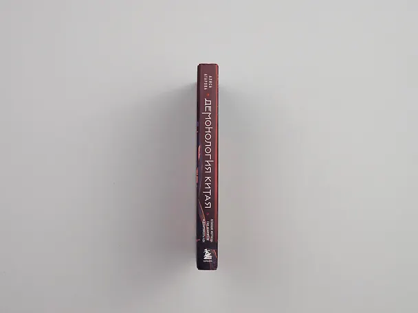 Книга Демонология Китая. Летающие мертвецы, ежи-искусители и департаменты Ада (Юй Сы) — 16