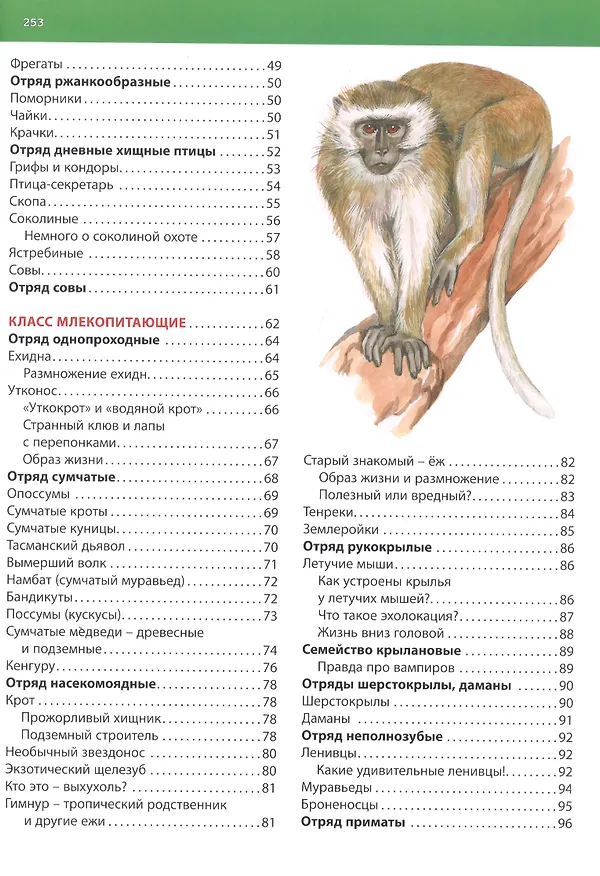 Книга Животные. Детская энциклопедия (С. Рублев) — 3