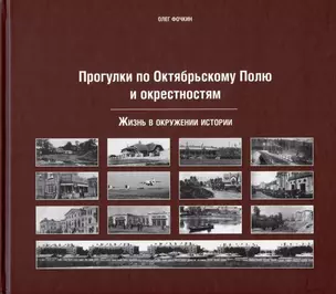 Прогулки по Октябрьскому полю и окрестностям — 2976173 — 1