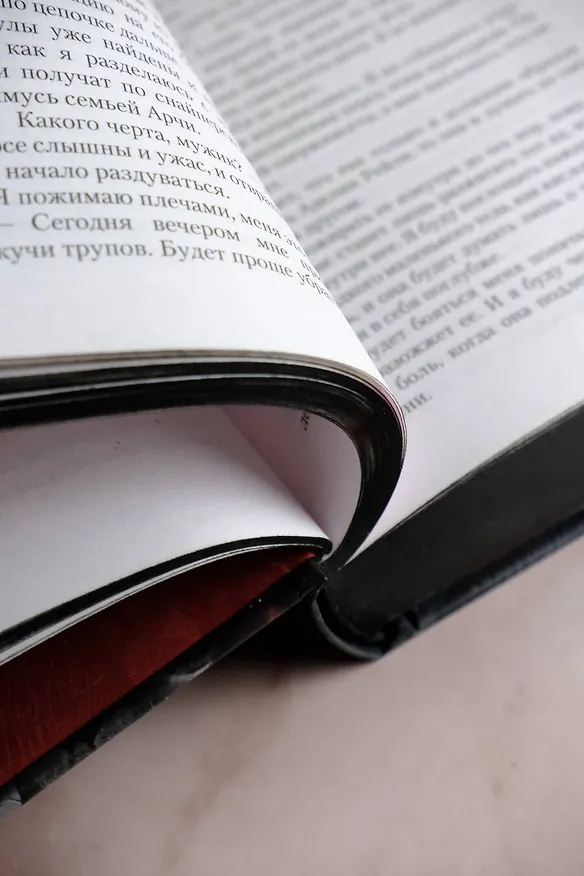 Книга Преследуя Аделин. Специальное издание (Х. Д. Карлтон) — 13