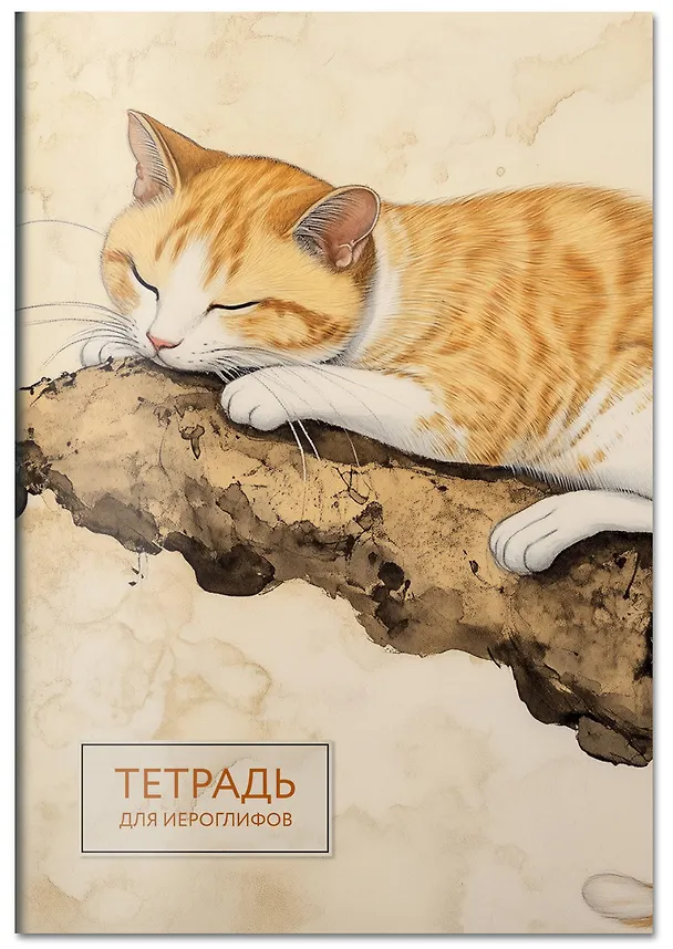 Книга Тетрадь для иероглифов (рыжий котик) () — 5