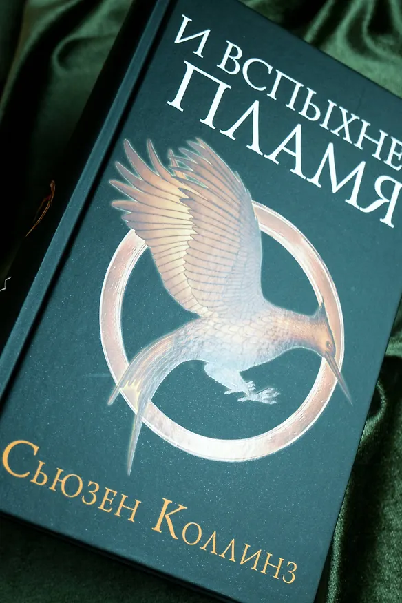 Книга И вспыхнет пламя (Сьюзен Коллинз) — 9