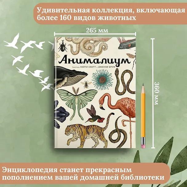 Книга Анималиум (Дженни Брум) — 4