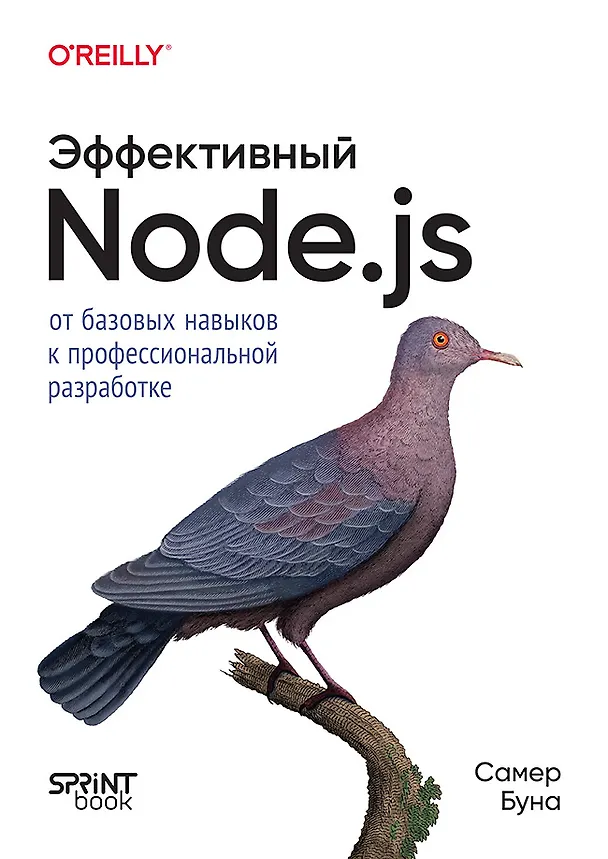Книга Эффективный Node.js: От базовых навыков к профессиональной разработке (Самер Буна) — 1