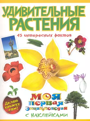 Удивительные растения — 2286612 — 1