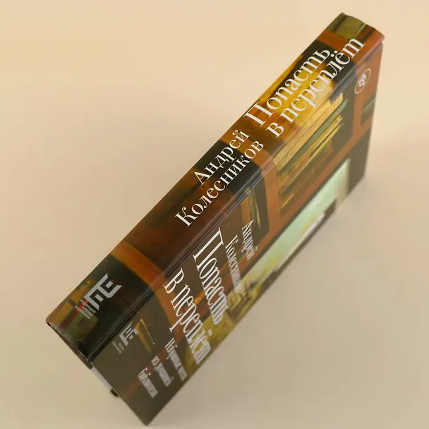 Книга Попасть в переплёт. Избранные места из домашней библиотеки (Андрей Колесников) — 8
