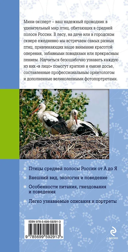 Книга Птицы. Краткий карманный определитель (Ксения Митителло) — 2