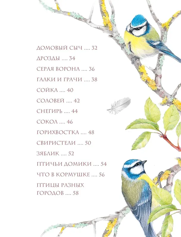 Книга Птицы в городе (Наталья Габеева) — 11
