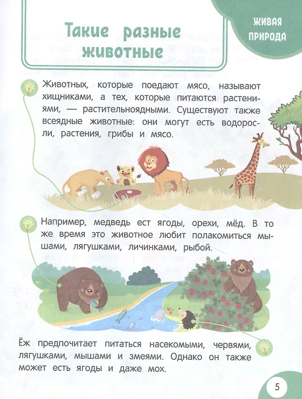 Книга Моя первая книга открытий: для детей от 6 лет (Татьяна Маланка) — 4