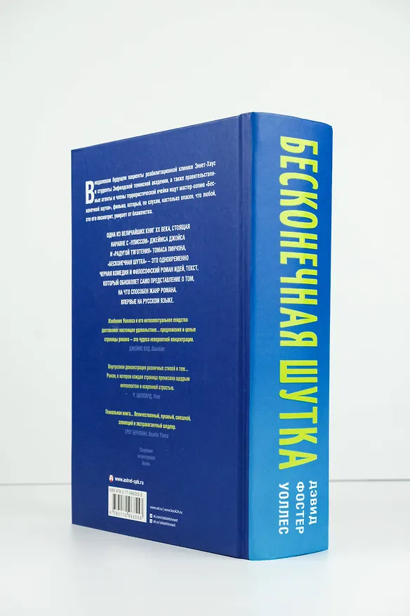 Книга Бесконечная шутка (Дэвид Уоллес) — 7