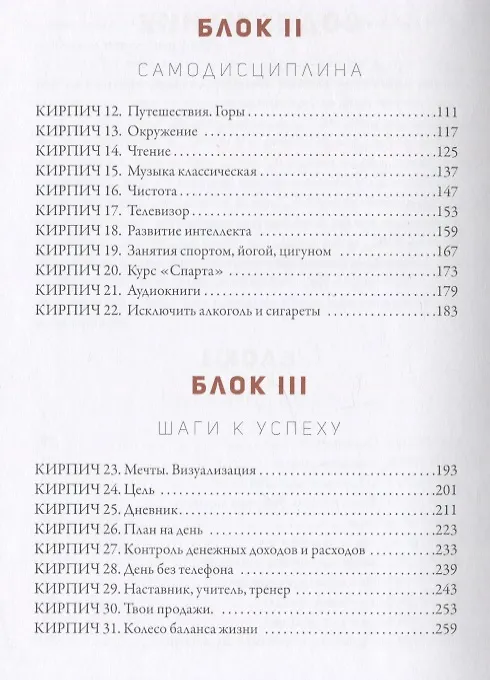 Книга 50 кирпичей успеха (Александр Синеркин) — 3