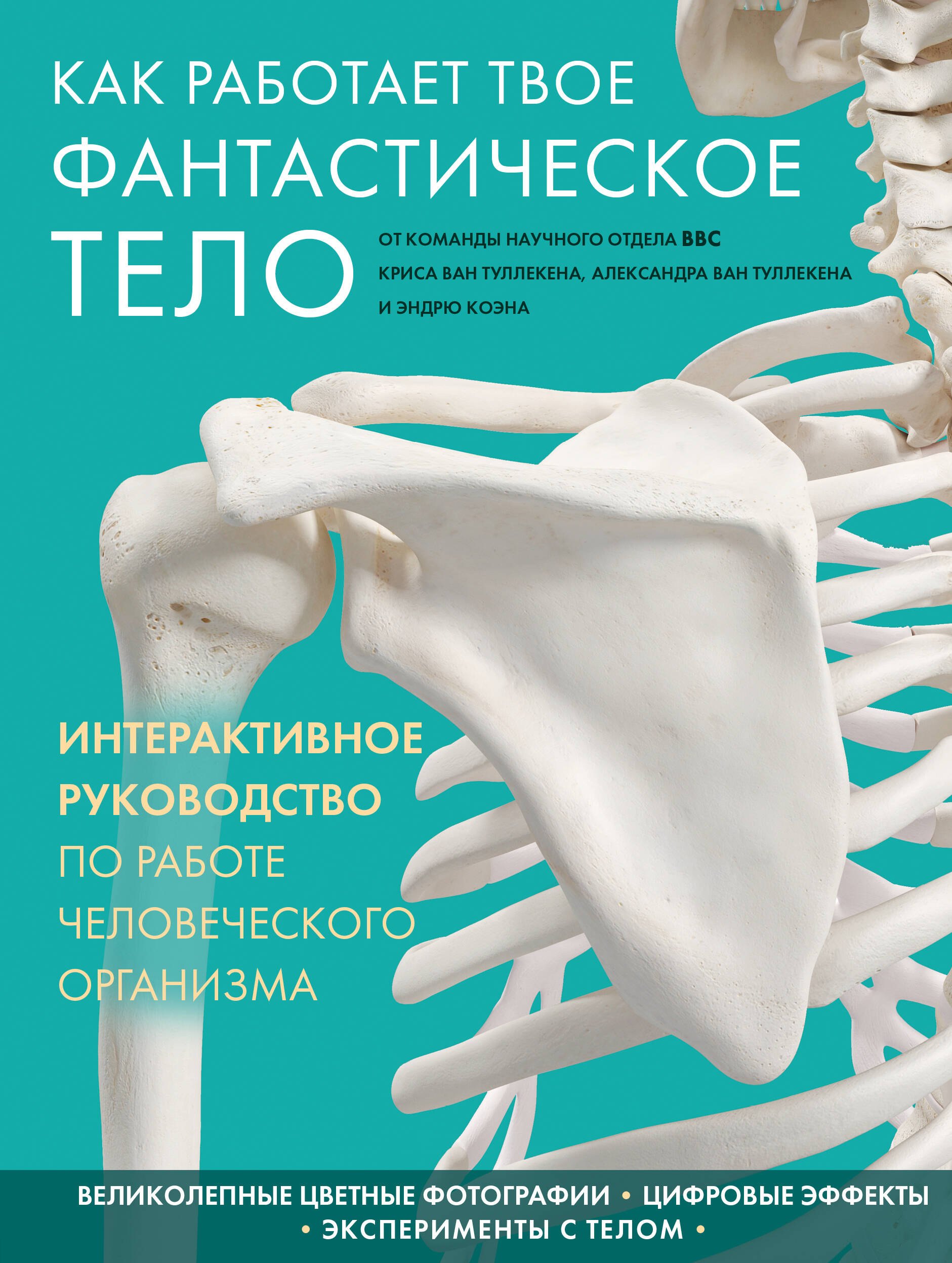 

Как работает твое фантастическое тело