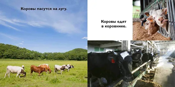 Книга На ферме () — 3