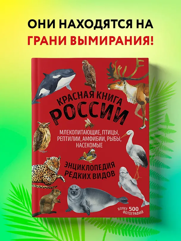 Книга Красная книга России: животные, растения, птицы, насекомые. Энциклопедия редких видов (Дмитрий Лукашанец, Екатерина Лукашанец) — 6