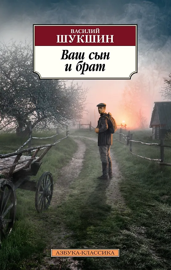 Книга Ваш сын и брат (Василий Шукшин) — 1
