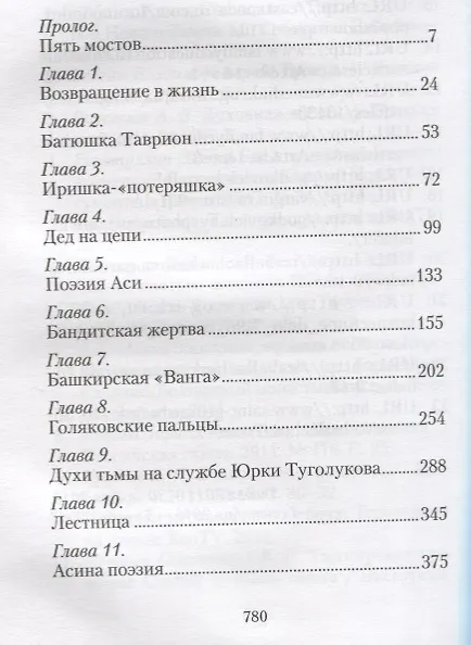 Книга Пятый мост (Вероника Черных) — 2