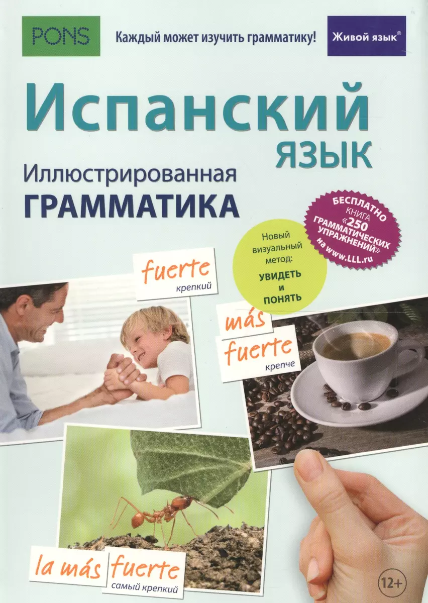 Испанский язык. Иллюстрированная грамматика ( Фернандес Реймондес) - купить  книгу с доставкой в интернет-магазине «Читай-город». ISBN: 978-5-8033-1491-2