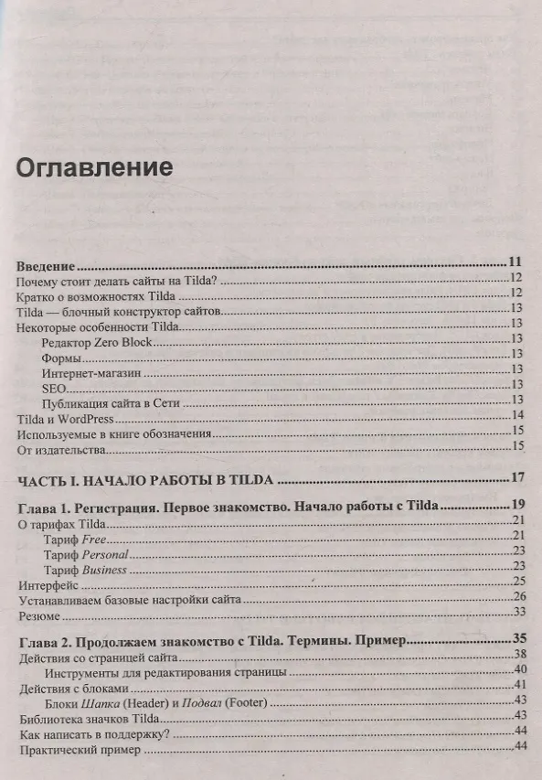 Книга Создание сайтов на Tilda с использованием искусственного интеллекта (Владимир Молочков) — 4