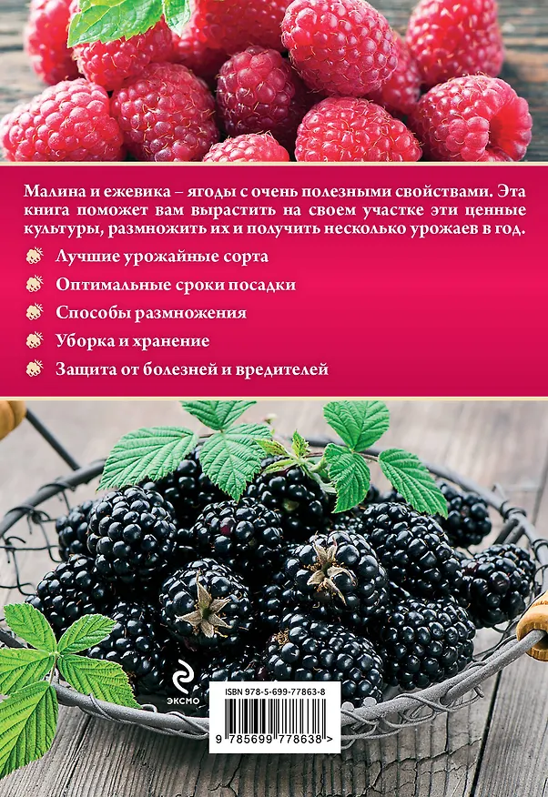 Книга Малина и ежевика. Урожайные ягоды (Анна Белякова) — 2