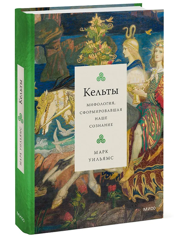Книга Кельты. Мифология, сформировавшая наше сознание (Марк Уильямс) — 4