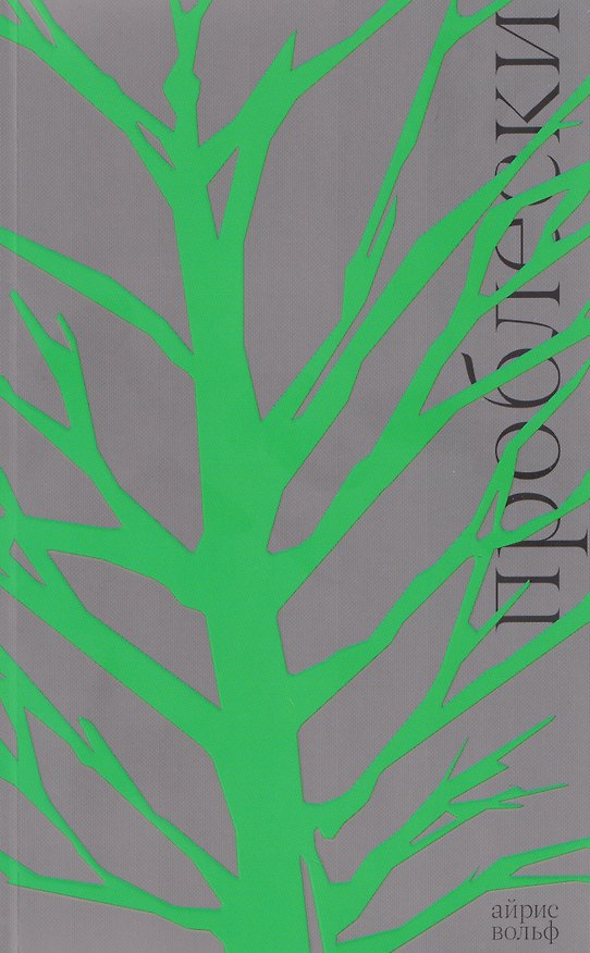 Книга Проблески (Айрис Вольф) — 1