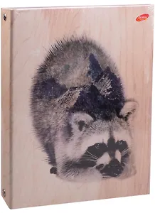 Тетрадь на кольцах в клетку Academy Style, "Енот", 100 листов, в ассортименте