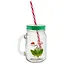 Банка с ручкой и крышкой для коктейлей Фламинго 100% Flamingo (стекло) (450 мл) — 2663717 — 1