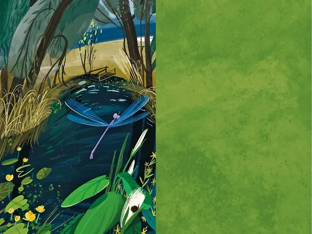 Книга Потерял слепой дуду (Александр Григоренко) — 14