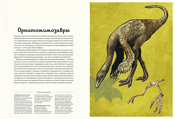 Книга Динозавриум (Кейти Скотт, Лили Маррей, Джейми Брун) — 14