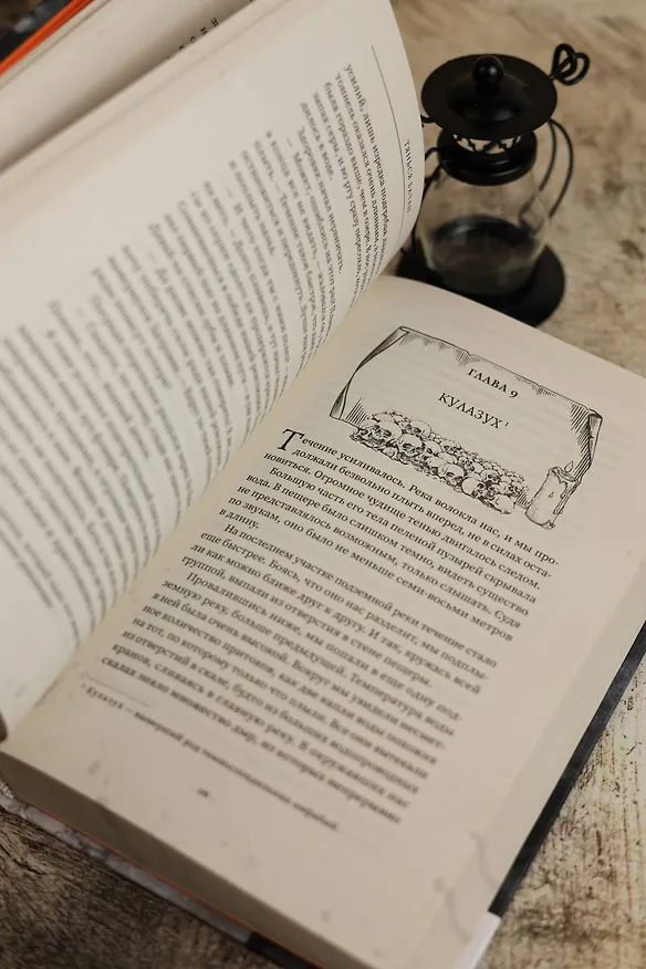 Книга Свеча в гробнице: древний город Цзинцзюэ (Бачан Тянься) — 11