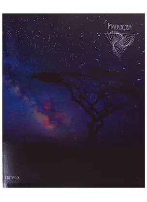 Тетрадь в клетку Unnika, "Млечный путь (пейзаж)", 48 листов, в ассортименте 245800