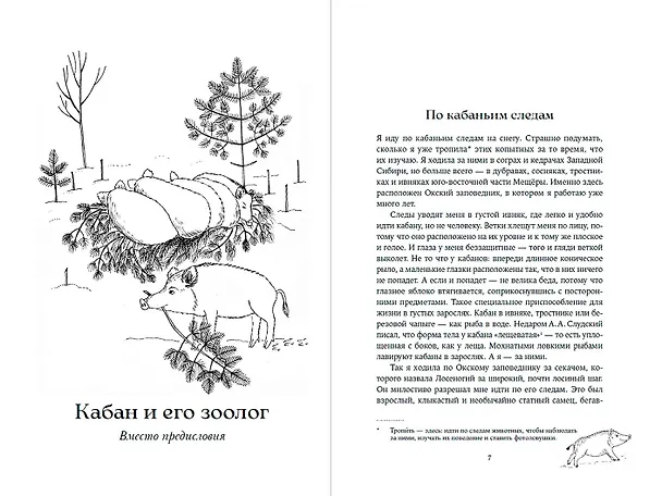 Книга Гнездо кабана: Истории из заповедника (Надежда Панкова) — 2
