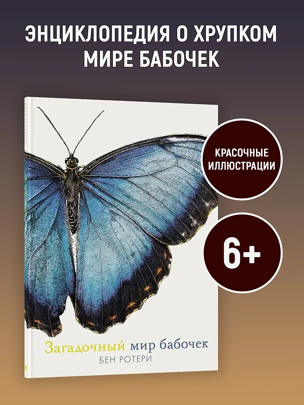 Книга Загадочный мир бабочек (Бен Ротери) — 4
