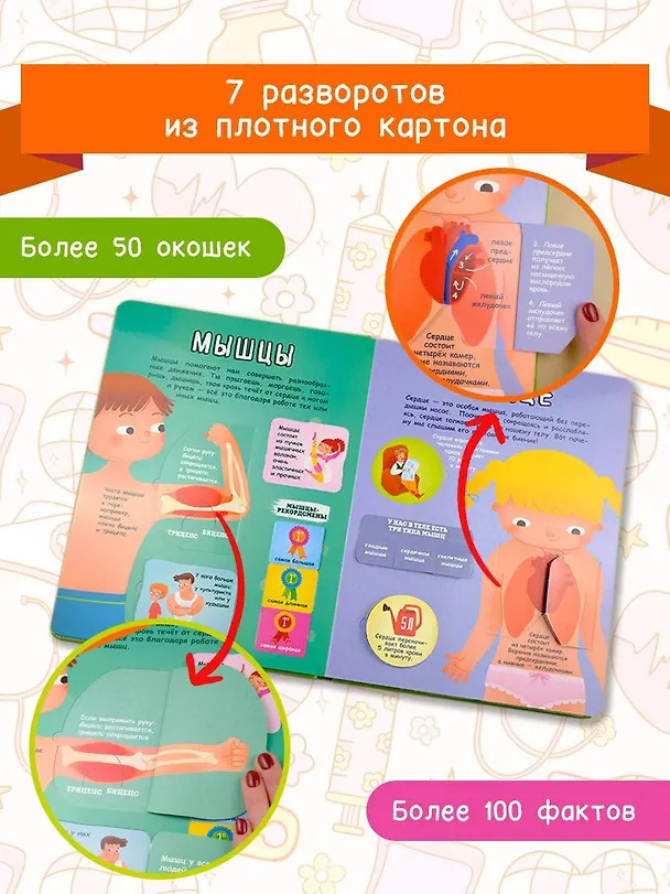 Книга Тело человека () — 5