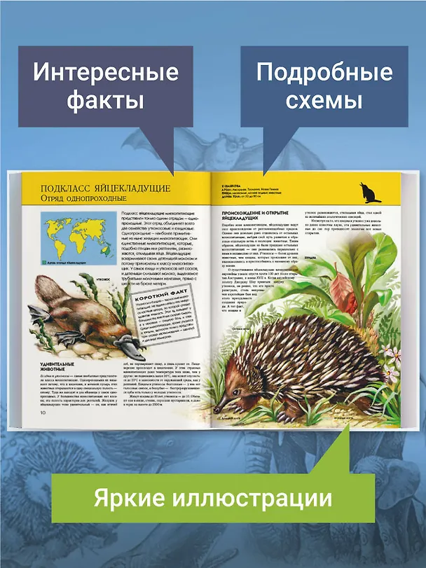 Книга Животные. Полная энциклопедия (Юлия Школьник) — 7