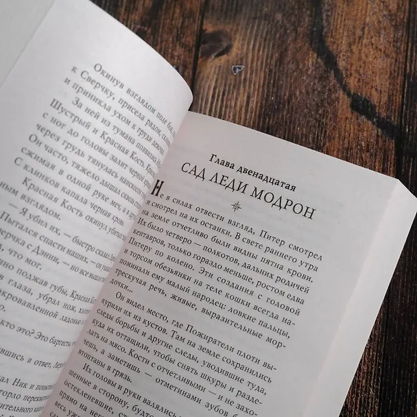 Книга Похититель детей (Джеральд Бром) — 10