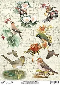 Декупажная карта Птицы А4 (DK3011)